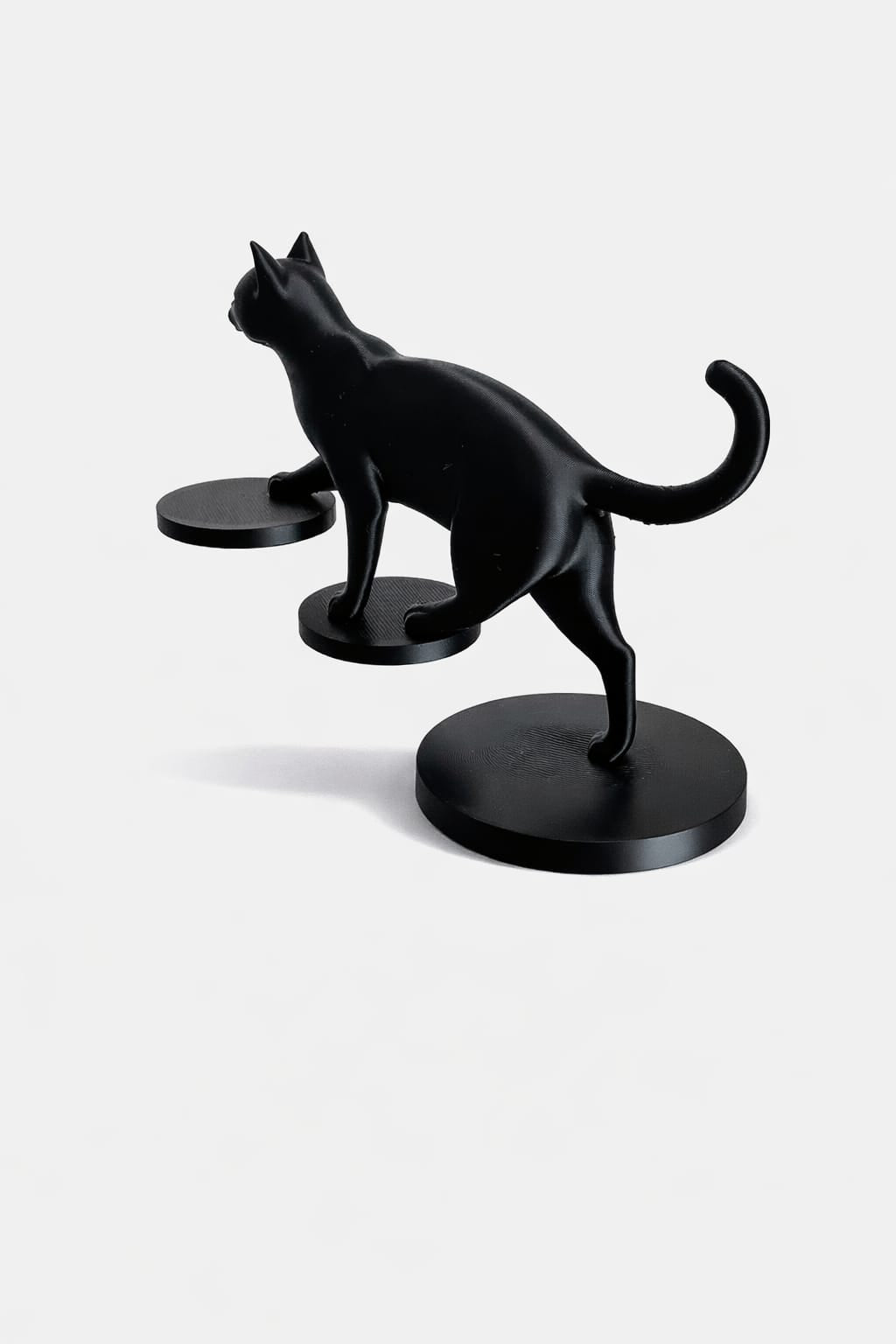 Walking cat